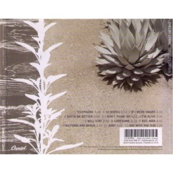 Shelby Lynne Identity Crisis CD, Compact Disc