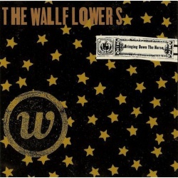 The Wallflowers Bringing Down The Horse CD, Compact Disc
