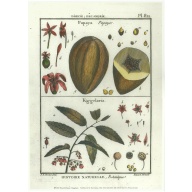 Lot of 2 (10 x 14) Art Print BN002 Benard-Pacouria - Printed in Italy