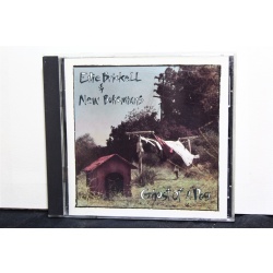 Edie Brickell & New Bohemians Ghost Of A Dog CD, Compact Disc