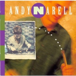 Andy Narell Down The Road CD, Compact Disc