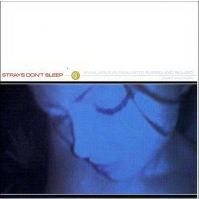 Strays Dont Sleep Strays Dont Sleep CD, Compact Disc