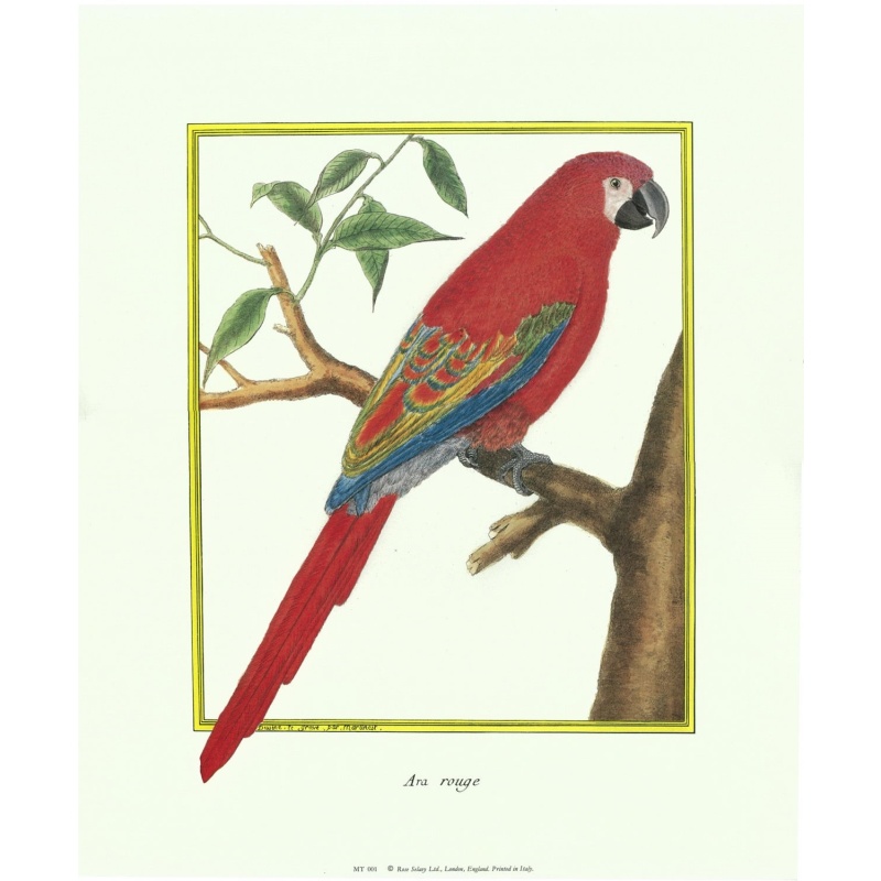 Lot of 2 (12 x 14) Art Print MT001 Rose Selavy Ltd. - Printed in Italy