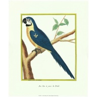 Lot of 2 (12 x 14) Art Print MT002 Rose Selavy Ltd. - Printed in Italy