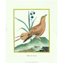 Lot of 2 (12 x 14) Art Print MT005 Rose Selavy Ltd. - Printed in Italy