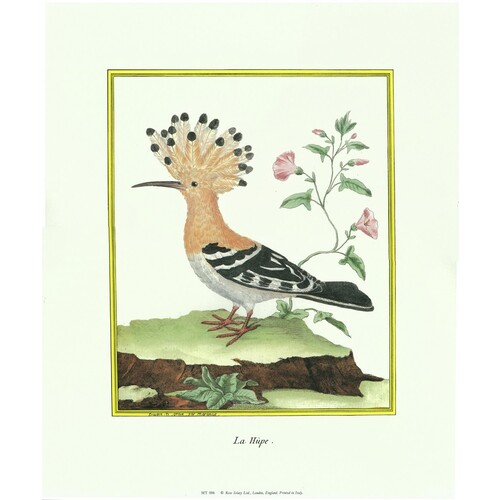 (12 x 14) Art Print MT006 Rose Selavy Ltd. Printed in Italy