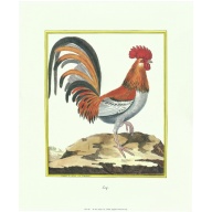 Lot of 2 (12 x 14) Art Print MT007 Rose Selavy Ltd. - Printed in Italy