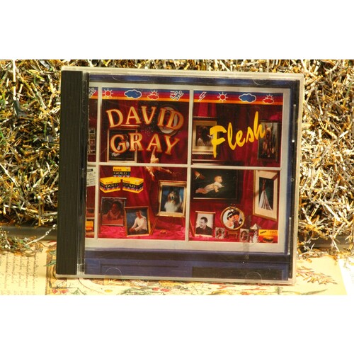 David Gray - Flesh #3674 (1994, CD) Empty Case Only