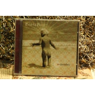 Rusted Root - Remember #3699 (1996, CD) Empty Case Only