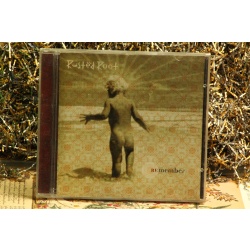 Rusted Root - Remember #3699 (1996, CD) Empty Case Only