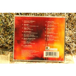 Various Artists - Fye Selects Rock (Emi Promo) #3709 (, CD) Empty Case Only