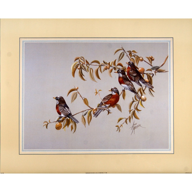 (16 x 20) Art Print BI1189 Anni Moller - 