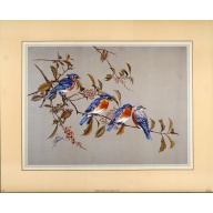 (16 x 20) Art Print BI1188 Anni Moller - 