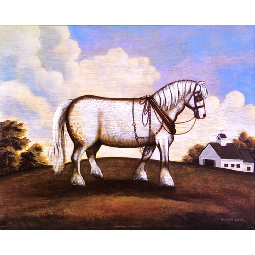 (16 x 20) Art Print AN1235 Steven Klein