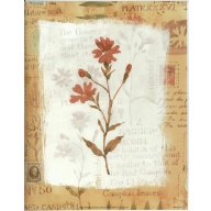 Lot of 5 (8 x 10) Art Print VB0109 Vicki Bowman - 