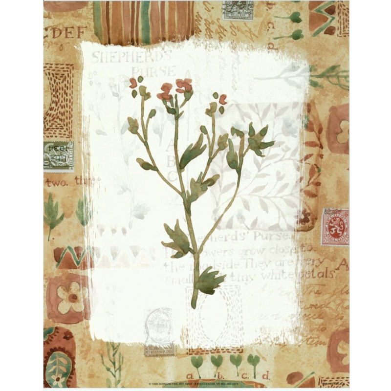 (8 x 10) Art Print VB0110 Vicki Bowman - 