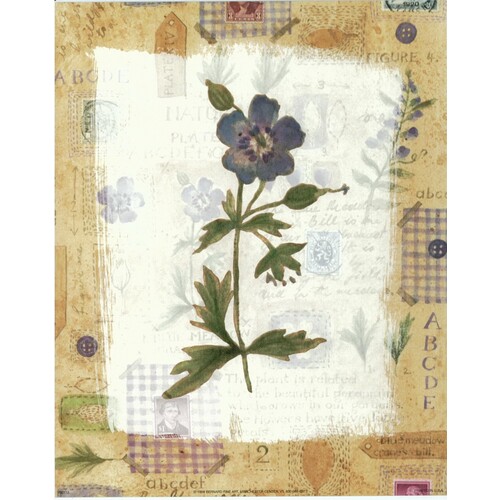 (8 x 10) Art Print VB0112 Vicki Bowman