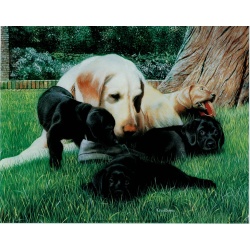 (8 x 10) Art Print KD0110 Kevin Daniel - 