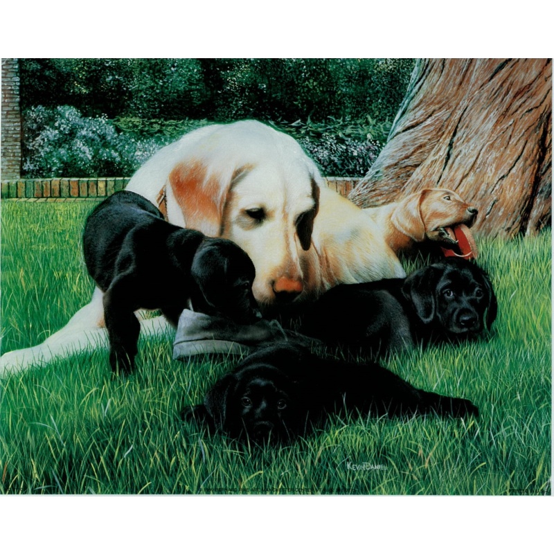 (8 x 10) Art Print KD0110 Kevin Daniel - 