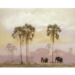 (8 x 10) Art Print DN0103 Kim Donaldson - 