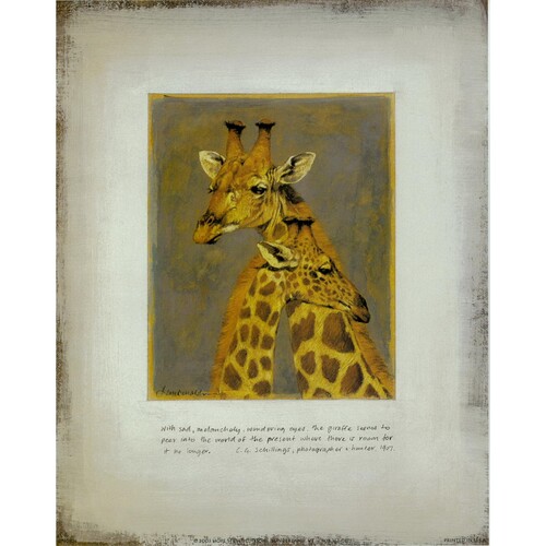 (8 x 10) Art Print DN0104 Kim Donaldson Giraffes