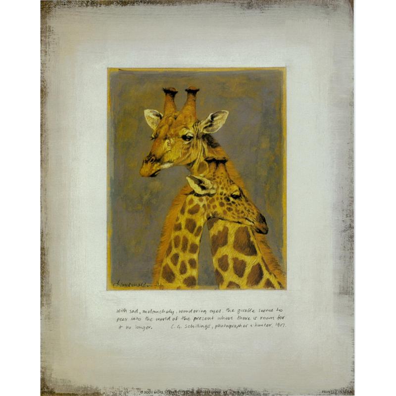 (8 x 10) Art Print DN0104 Kim Donaldson Giraffes
