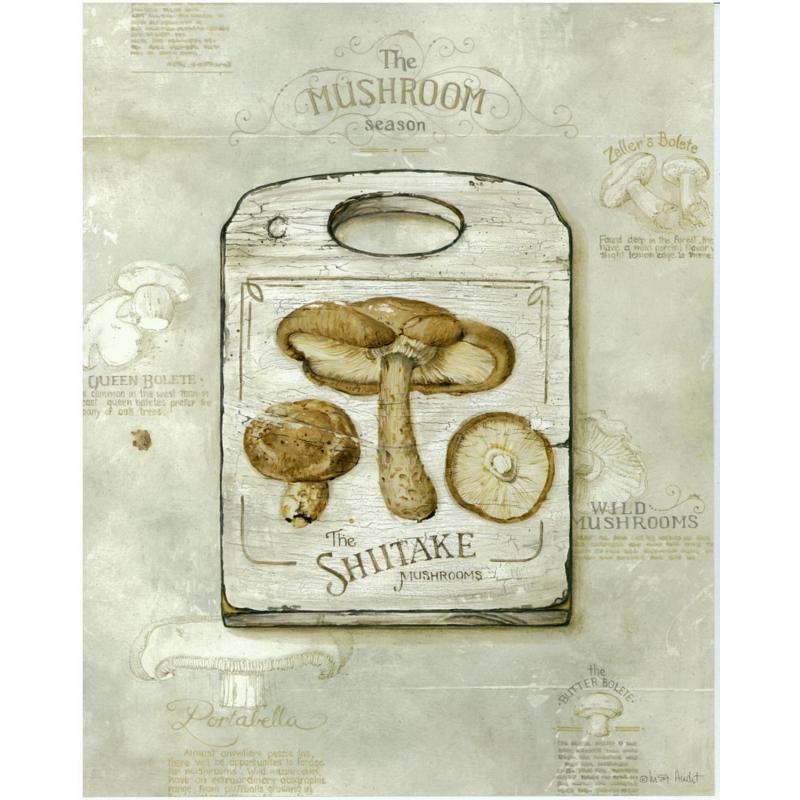 (8 x 10) Art Print LA0127A Lisa Audit Shitake Mushrooms