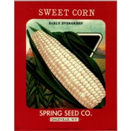 Lot of 5 (8 x 10) Art Print FR237 Bernard Picture Co. - Sweet Corn Spring Seed Co. Daleville NY