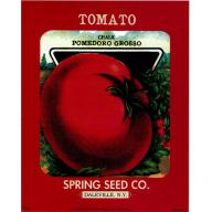 (8 x 10) Art Print FR240 Bernard Picture Co. Tomato Spring Seed Co. Daleville NY