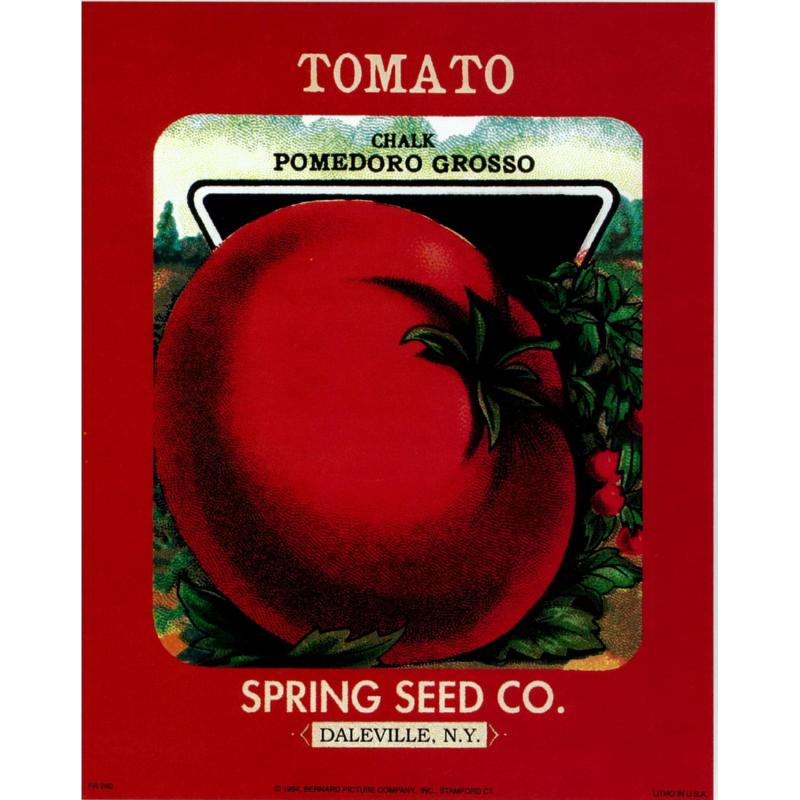 (8 x 10) Art Print FR240 Bernard Picture Co. Tomato Spring Seed Co. Daleville NY