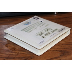 More Than It Hurts You by Darin Strauss (2008, CD, Unabridged)