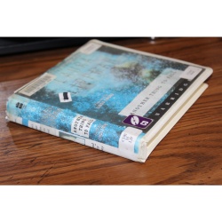 Tess Monaghan Novel Ser.: Another Thing to Fall by Laura Lippman (2008, CD)