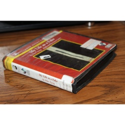 My Life As a Fake by Peter Carey (2003, CD)