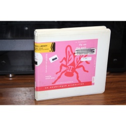 Fly on the Wall : How One Girl Saw Everything by E. Lockhart (CD)