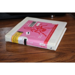 Fly on the Wall : How One Girl Saw Everything by E. Lockhart (CD)