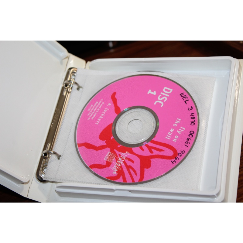 Fly on the Wall : How One Girl Saw Everything by E. Lockhart (CD)