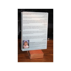 Step into success Presented by Belinda Ellsworth CD Updated Version