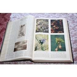 1949 JULY - DEC. Illustrated London News Bound Volume 215