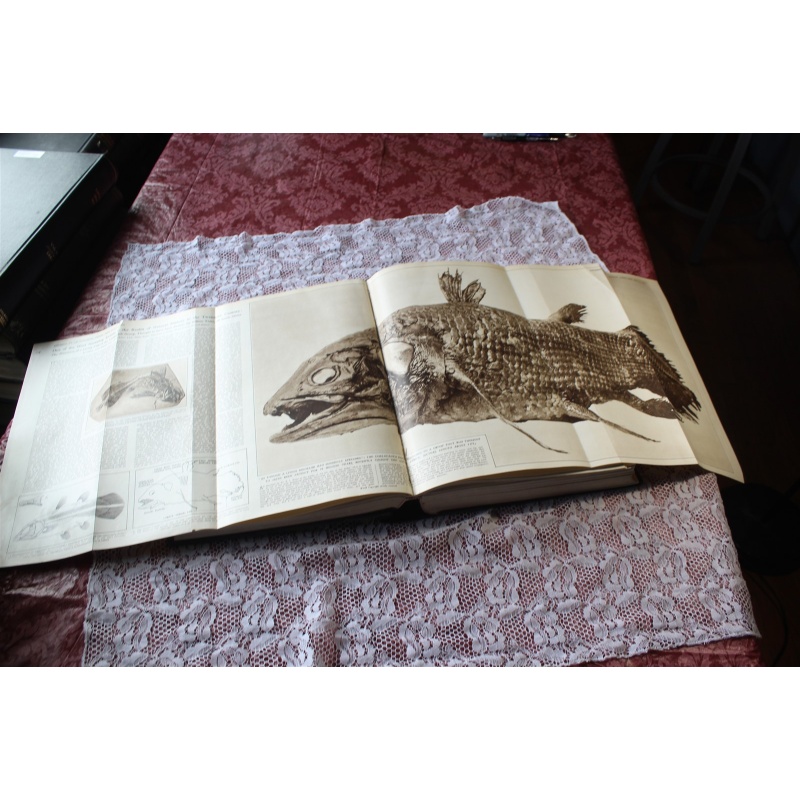 1939 ILLUSTRATED LONDON NEWS JAN. - JUNE VOL. 194