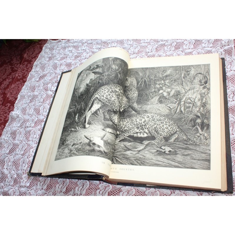 1874 JAN- JUNE Illustrated London News Bound Volume LXIV