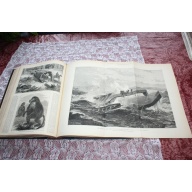 1877 JULY - DEC. Illustrated London News Bound Volume LXXI
