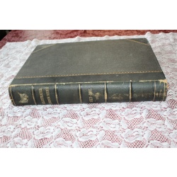 1875 JULY - DEC. Illustrated London News Bound Volume LXVII