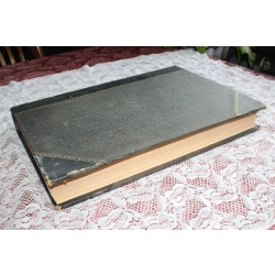 1875 JULY - DEC. Illustrated London News Bound Volume LXVII