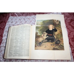 1864 JAN. JUNE Illustrated London News Bound Volume XLIV