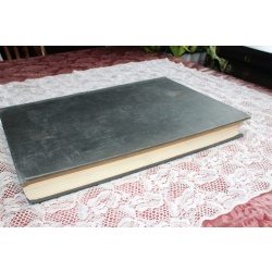 1917 JAN. - JULY Illustrated London News Bound Volume CL