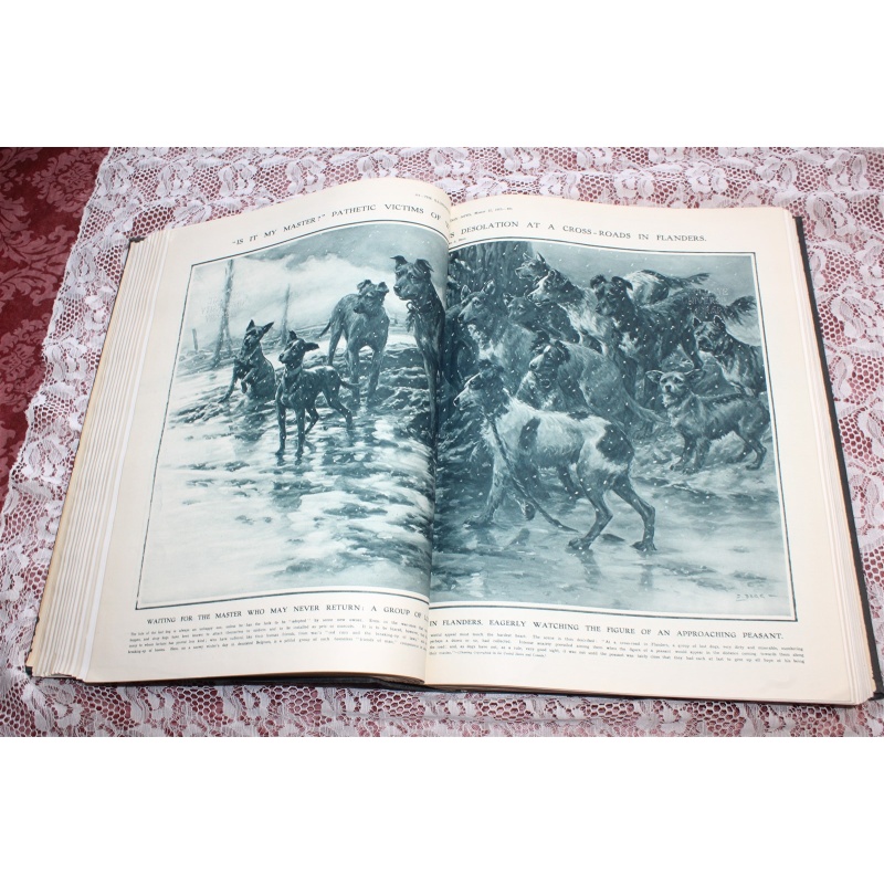 1917 JAN. - JULY Illustrated London News Bound Volume CL