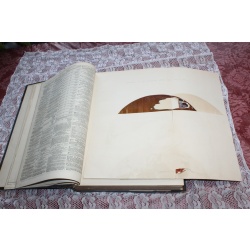 1867 JULY- DEC. Illustrated London News Bound Volume LI