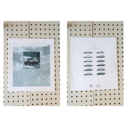 1996 Oldsmobile 88 Brochure