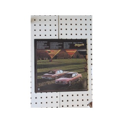 1984 Oldsmobile  Brochure Product Line-Up  31 Pages