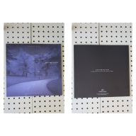 1999 Oldsmobile Intrigue Brochure